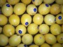 citron jaune